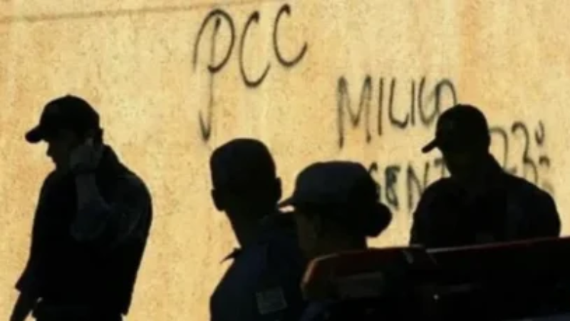 Mais de 68 milhões de brasileiros relatam presença do crime organizado na vizinhança