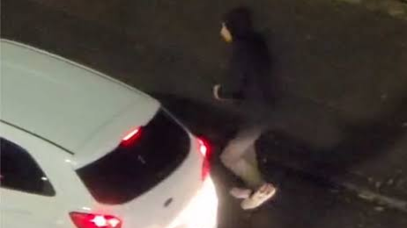 Criminoso quebra vidro de veículo e rouba passageiro em avenida de São Paulo