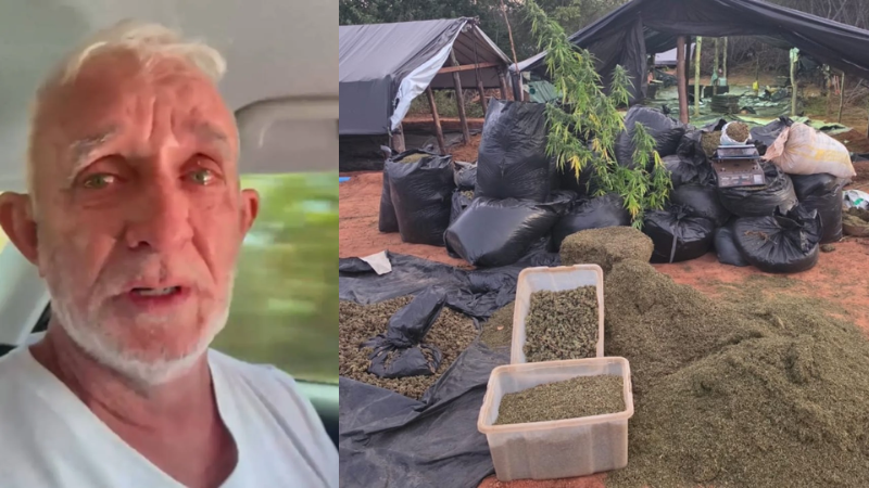 Dono de propriedade com plantação de 290 mil pés de maconha afirma que arrendou terreno e nega envolvimento