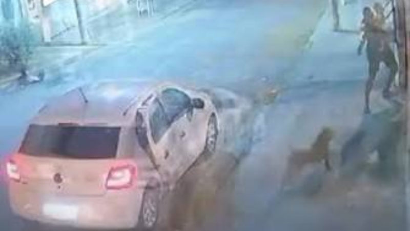 PM reage a ataque de pitbull enquanto carregava filha de 1 ano no colo