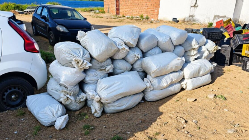 Caminhão que transportava verduras é flagrado com 323 kg de maconha na Bahia